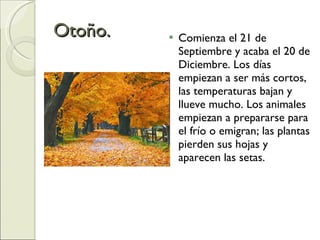 Otoño. Comienza el 21 de Septiembre y acaba el 20 de Diciembre. Los días empiezan a ser más cortos, las temperaturas bajan y llueve mucho. Los animales empiezan a prepararse para el frío o emigran; las plantas pierden sus hojas y aparecen las setas. 