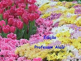 Edição Professor Alaôr 