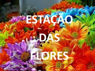 ESTAÇÃO DAS FLORES
