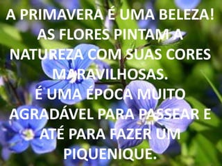 A PRIMAVERA É UMA BELEZA! AS FLORES PINTAM A NATUREZA COM SUAS CORES MARAVILHOSAS. É UMA ÉPOCA MUITO AGRADÁVEL PARA PASSEAR E ATÉ PARA FAZER UM PIQUENIQUE.