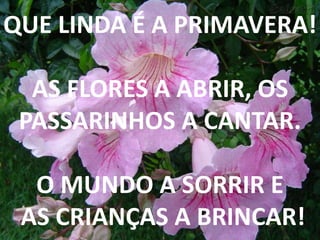 QUE LINDA É A PRIMAVERA!AS FLORES A ABRIR, OS PASSARINHOS A CANTAR.O MUNDO A SORRIR E AS CRIANÇAS A BRINCAR!