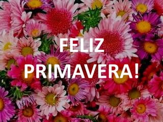 FELIZPRIMAVERA!