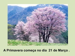    A Primavera começa no dia  21 de Março .