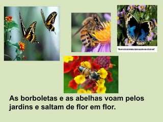 As borboletas e as abelhas voam pelos jardins e saltam de flor em flor.