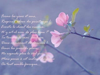 Ferme les yeux et sens, Respire l'odeur du printemps ! Ecoute le chant des oiseaux, N'y a-t-il rien de plus beau ? Tu touches le vrai bonheur Dans ce moment de douceur ! Ainsi les jours de pluie, Ne regarde plus le ciel gris, Mais pense à cet instant magique Où tout semble féerique...