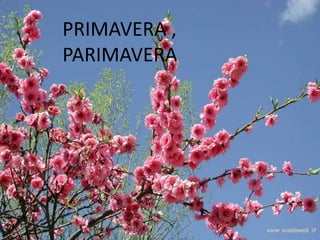 PRIMAVERA ,
PARIMAVERA
 