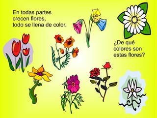 En todas partes crecen flores,  todo se llena de color. ¿De qué colores son estas flores? 
