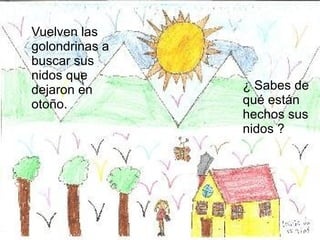 Vuelven las golondrinas a buscar sus nidos que dejaron en otoño. ¿ Sabes de qué están hechos sus nidos ? 