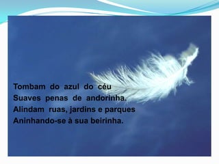 Tombam do azul do céu
Suaves penas de andorinha.
Alindam ruas, jardins e parques
Aninhando-se à sua beirinha.
 