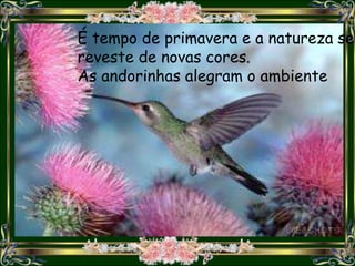 É tempo de primavera e a natureza se
reveste de novas cores.
As andorinhas alegram o ambiente
 