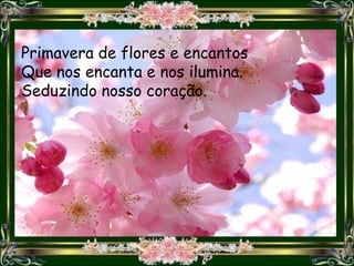 Primavera de flores e encantos
Que nos encanta e nos ilumina.
Seduzindo nosso coração.
 