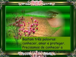 Bastam três palavras:
conhecer, amar e proteger.
Precisamos de conhecer a
natureza para a amar e amá-
la para a proteger.
 