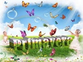 Primavera