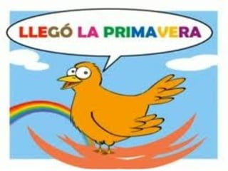Primavera