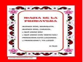 Primavera