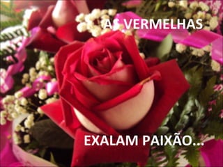 AS VERMELHAS
EXALAM PAIXÃO...
