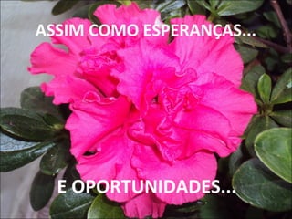 ASSIM COMO ESPERANÇAS...
E OPORTUNIDADES...