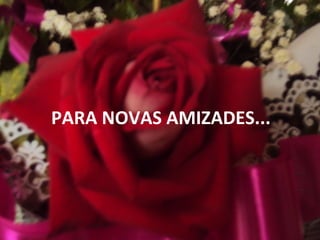 PARA NOVAS AMIZADES...