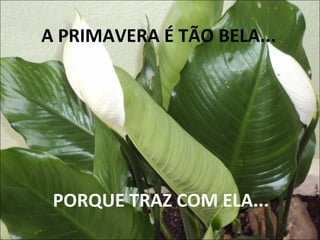 A PRIMAVERA É TÃO BELA...
PORQUE TRAZ COM ELA...