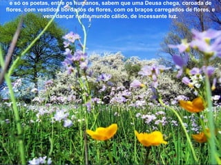 e só os poetas, entre os humanos, sabem que uma Deusa chega, coroada de flores, com vestidos bordados de flores, com os braços carregados de flores, e vem dançar neste mundo cálido, de incessante luz. 