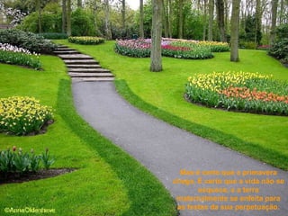 Mas é certo que a primavera chega. É certo que a vida não se esquece, e a terra maternalmente se enfeita para as festas da sua perpetuação. 