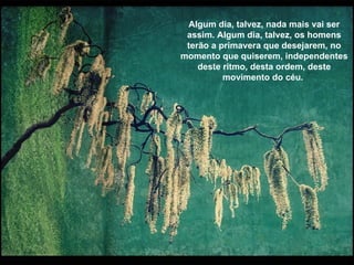 Algum dia, talvez, nada mais vai ser assim. Algum dia, talvez, os homens terão a primavera que desejarem, no momento que quiserem, independentes deste ritmo, desta ordem, deste movimento do céu.  