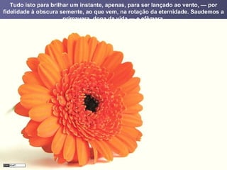 Tudo isto para brilhar um instante, apenas, para ser lançado ao vento, — por fidelidade à obscura semente, ao que vem, na rotação da eternidade. Saudemos a primavera, dona da vida — e efêmera. 