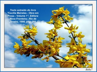 Texto extraído do livro " Cecília Meireles - Obra em Prosa - Volume 1 ", Editora Nova Fronteira - Rio de Janeiro, 1998, pág. 366. 