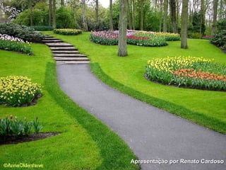 Apresentação por Renato Cardoso 