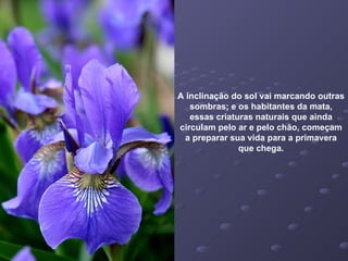 A inclinação do sol vai marcando outras sombras; e os habitantes da mata, essas criaturas naturais que ainda circulam pelo ar e pelo chão, começam a preparar sua vida para a primavera que chega. 