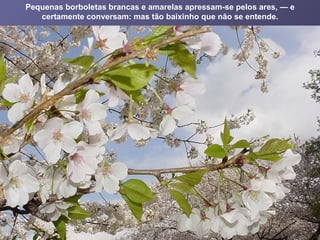 Pequenas borboletas brancas e amarelas apressam-se pelos ares, — e certamente conversam: mas tão baixinho que não se entende. 