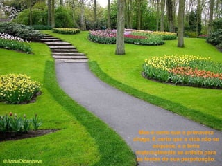 Mas é certo que a primavera chega. É certo que a vida não se esquece, e a terra maternalmente se enfeita para as festas da sua perpetuação. 