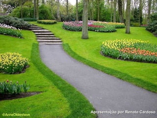 Apresentação por Renato Cardoso 