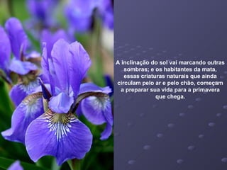 A inclinação do sol vai marcando outras sombras; e os habitantes da mata, essas criaturas naturais que ainda circulam pelo ar e pelo chão, começam a preparar sua vida para a primavera que chega. 