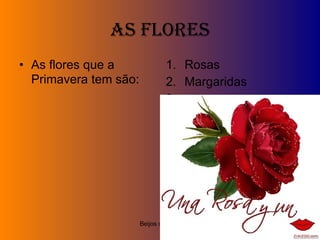 As flores As flores que a Primavera tem são: Rosas Margaridas etc. Beijos da rosa! 