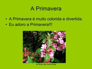 A Primavera A Primavera é muito colorida e divertida. Eu adoro a Primavera!!! As flores são muito lindas 