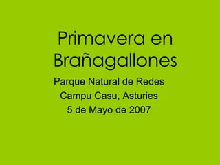Primavera en Brañagallones Parque Natural de Redes Campu Casu, Asturies 5 de Mayo de 2007 