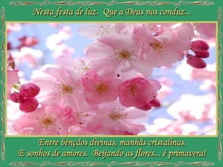 Nesta festa de luz. Que a Deus nos conduz... Entre bênçãos divinas, manhãs cristalinas. E sonhos de amores. Beijando as flores... é primavera!