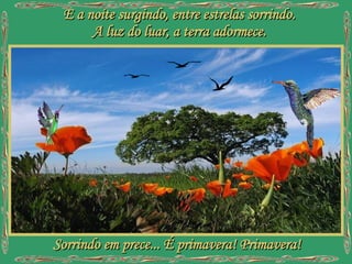 E a noite surgindo, entre estrelas sorrindo. A luz do luar, a terra adormece. Sorrindo em prece... É primavera! Primavera!