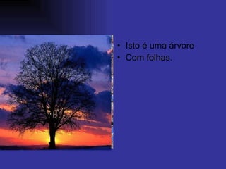 Isto é uma árvore  Com folhas. 