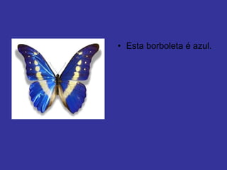Esta borboleta é azul. 