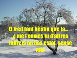 El fred tant bèstia que fa…  ¿ me l’envies tu d’altres indrets on has estat, sense mi? 