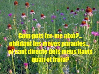 Com pots fer-me això?... oblidant les meves paraules…  el cant directe dels meus llavis quan et fruïa? 