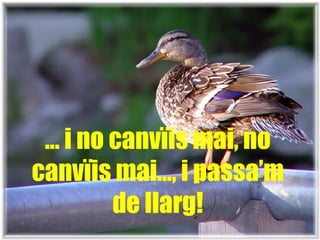 …  i no canvïis mai, no canvïis mai…, i passa’m de llarg! 