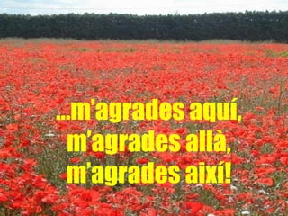 … m’agrades aquí, m’agrades allà, m’agrades així! 