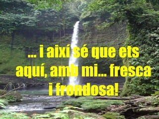 …  i així sé que ets aquí, amb mi… fresca i frondosa! 