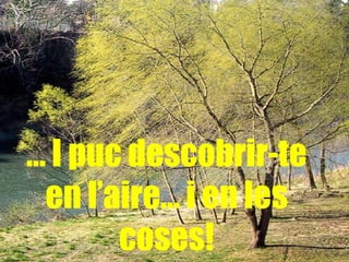 ... I puc descobrir-te en l’aire… i en les coses! 