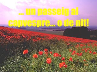 …  un passeig al capvespre… o de nit! 