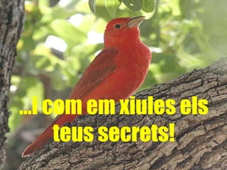… i com em xiules els teus secrets! 