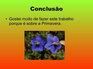 Conclusão Gostei muito de fazer este trabalho porque é sobre a Primavera. 